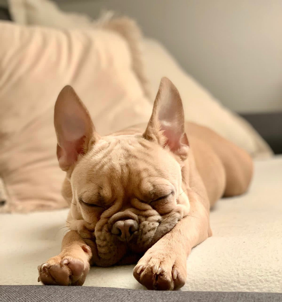 Ich war mal ganz schön klein... 🐾🍼🦴