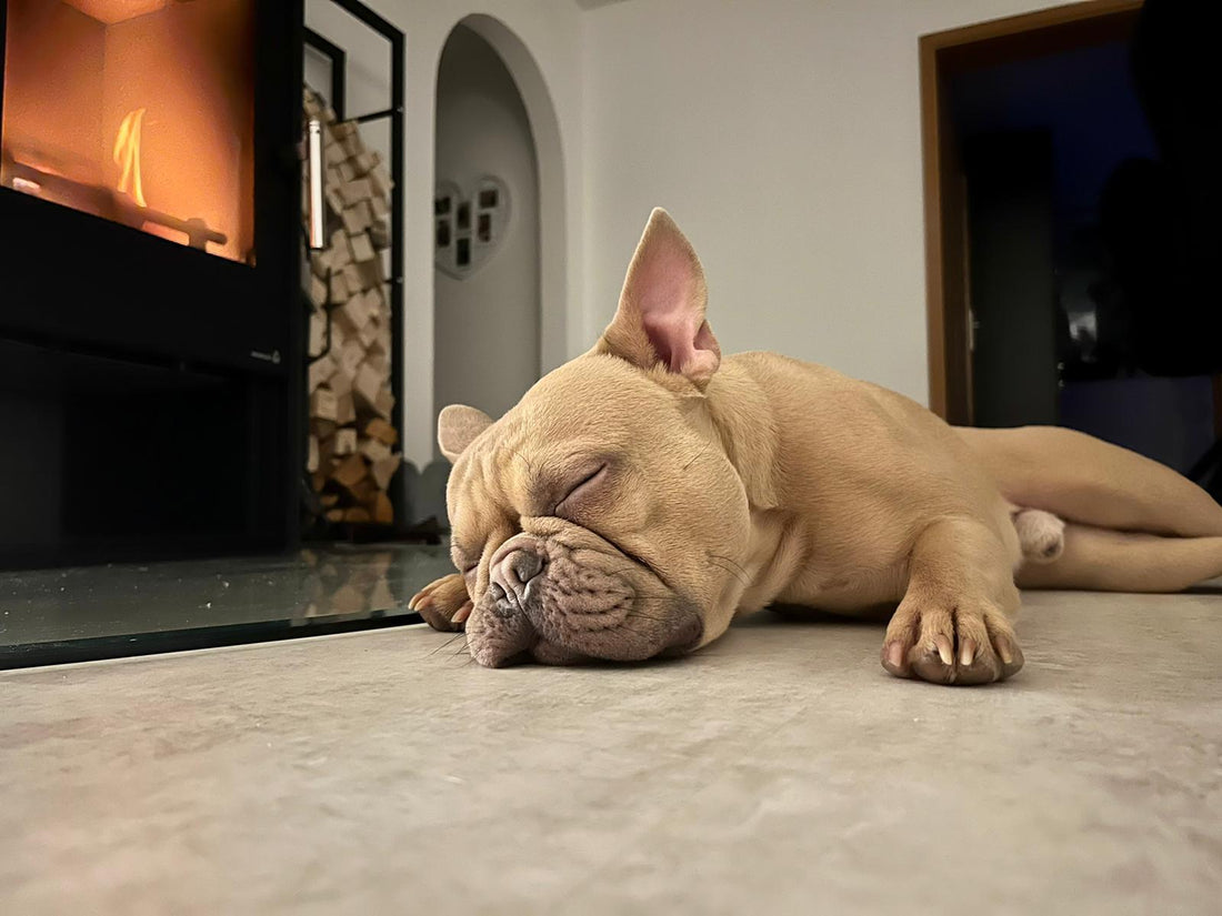 Ein langer Tag geht zu Ende...💤