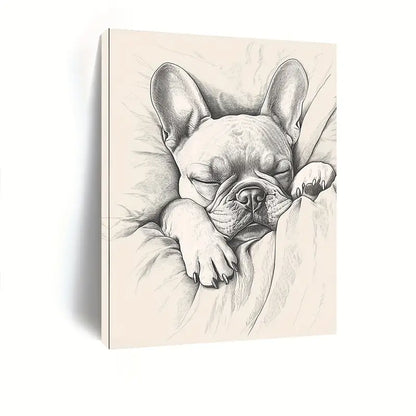 Sleepy Frenchie
